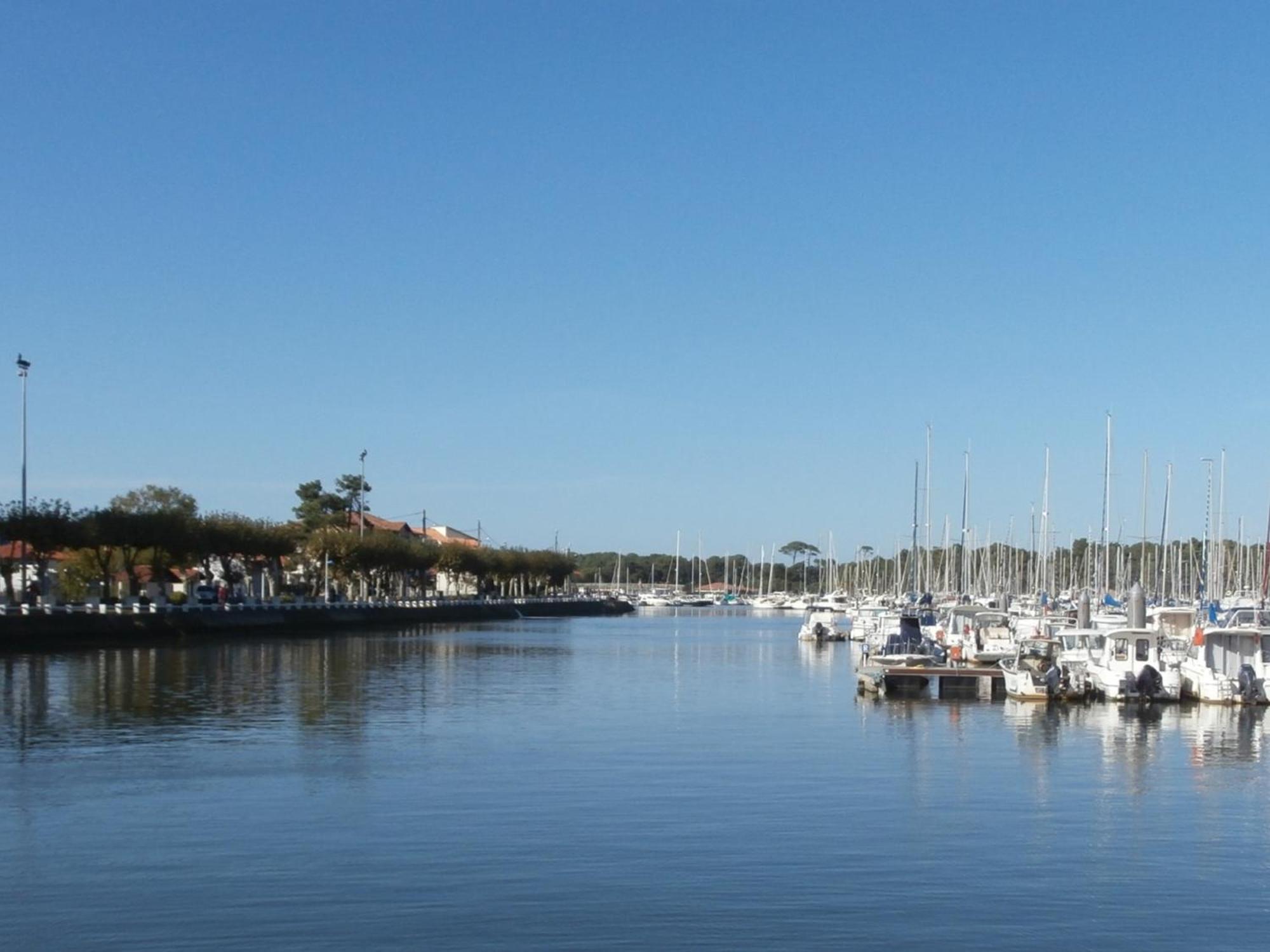 Charmant T3 De Standing A Capbreton, Jardin, 3 Chambres, Terrasse Couverte, Proche Port Et Plages - Fr-1-239-484 エクステリア 写真